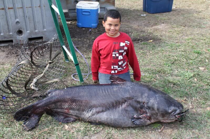 136 pound blue catfish caught in South Carolina. Carolina Fish Talk